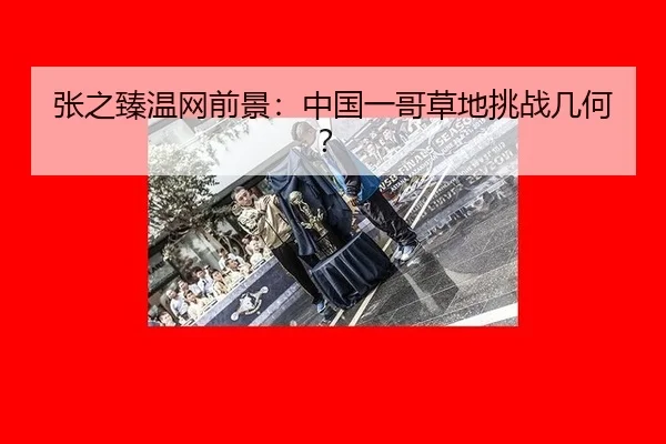 张之臻温网前景：中国一哥草地挑战几何？